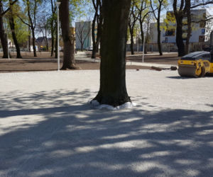 Od dziś otwarte lasy i parki. Ale parki Heermanna i Jonstona wciąż ogrodzone