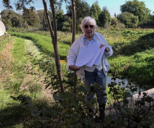 Dziki rów dzieli działkę, a urzędnicy rozkładają ręce. Seniorka drży, że dom osunie się do wody