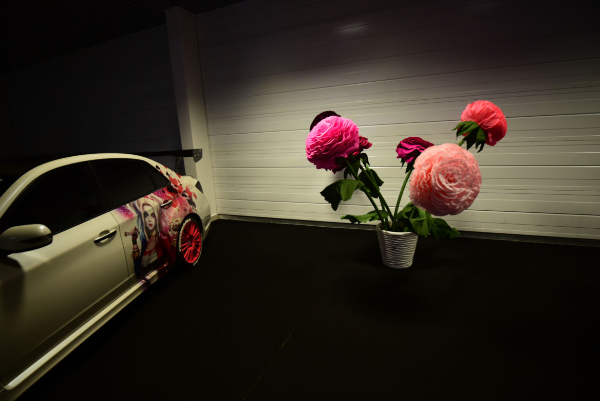 Warsaw Motor Show 2019 w Ptak Warsaw Expo