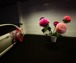 Warsaw Motor Show 2019 w Ptak Warsaw Expo
