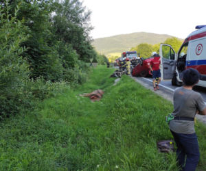Wypadek w Dobrej. Zderzenie samochodu z konnym zaprzęgiem. Zwierzę nie żyje