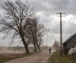 Silny wiatr na Podlasiu. 145 tys. odbiorców bez prądu