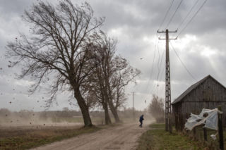 Silny wiatr na Podlasiu. 145 tys. odbiorców bez prądu