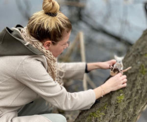 Filcowe myszki Joanny. Marka Wyszło z norki