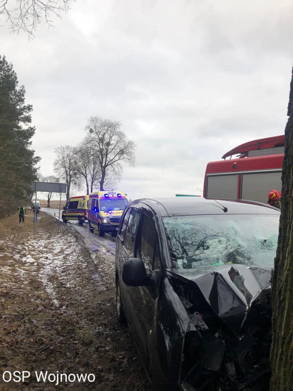 Dąbrówka Nowa. Samochód roztrzaskał się na drzewie! 2 osoby trafiły do szpitala