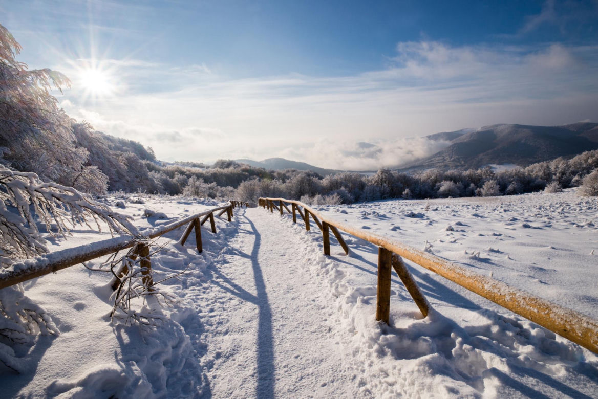 BIESZCZADY