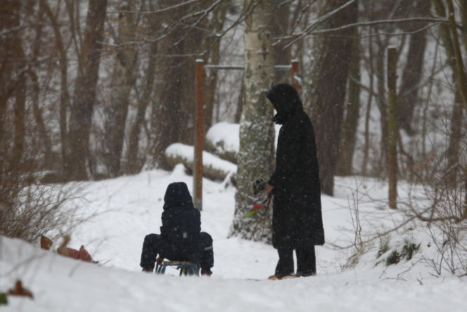 Marta Kaczyńska z synem i psami na sankach w lesie