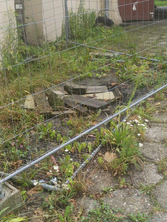 Tajemnicze przejście wydrążone pod mennicą