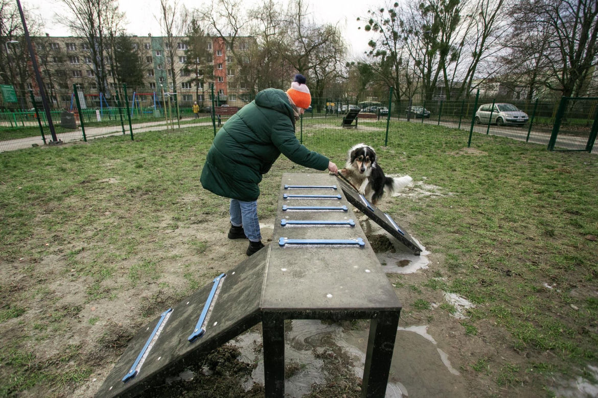 Na Bałutach powstał nowy psi park