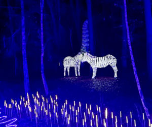 Lumina Park Bydgoszcz