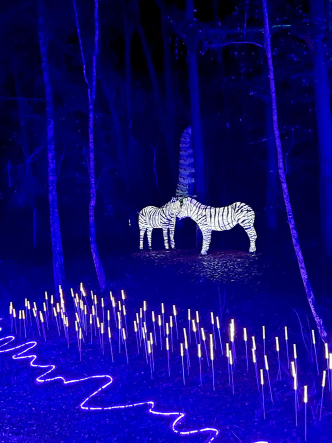 Lumina Park Bydgoszcz