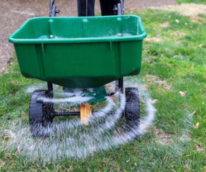 Jak i czym nawozić trawnik na wiosnę? Praktyczne porady