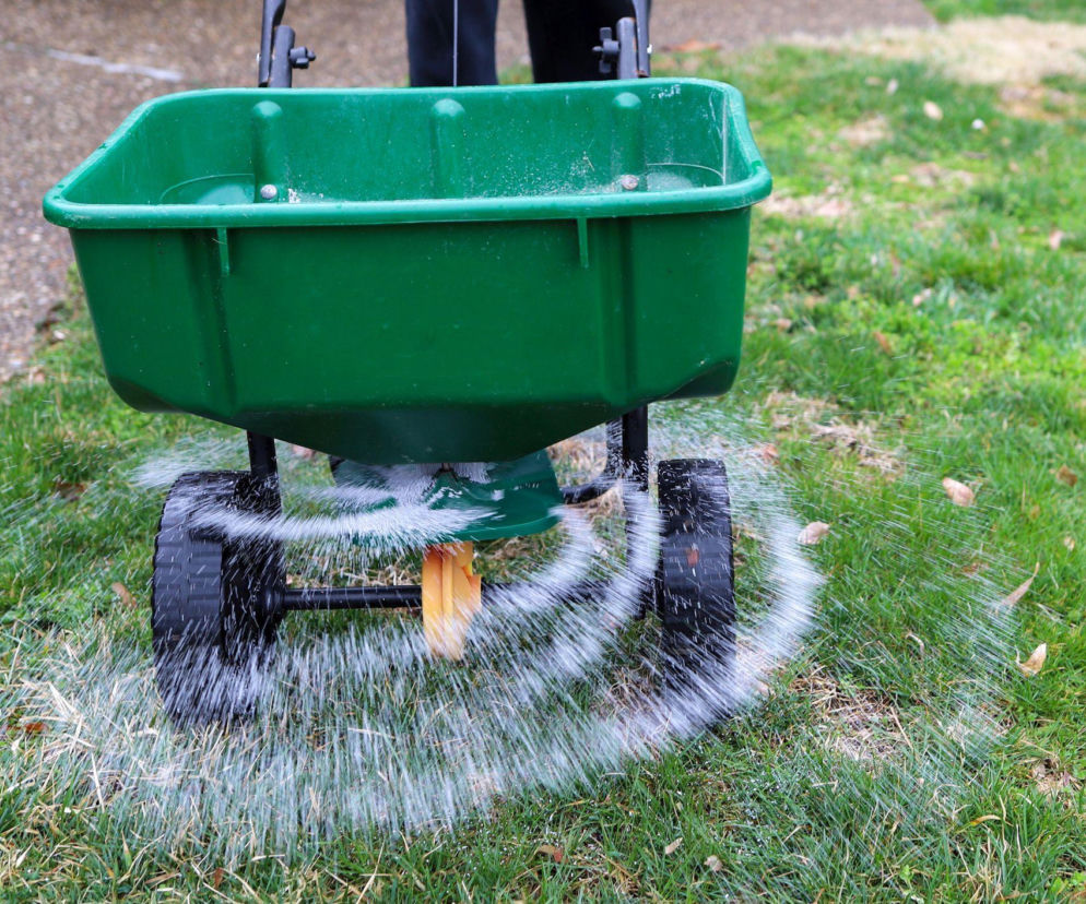 Nawożenie trawnika wiosną