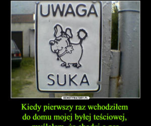Memy o teściowej