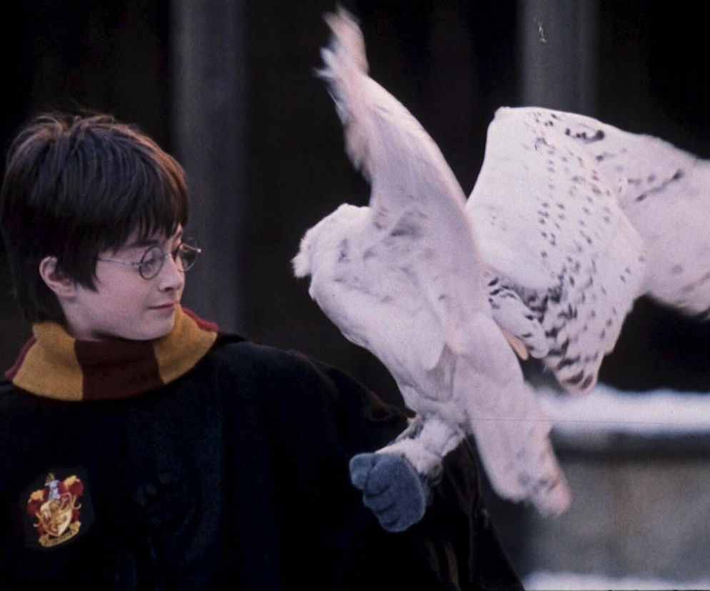 Harry Potter