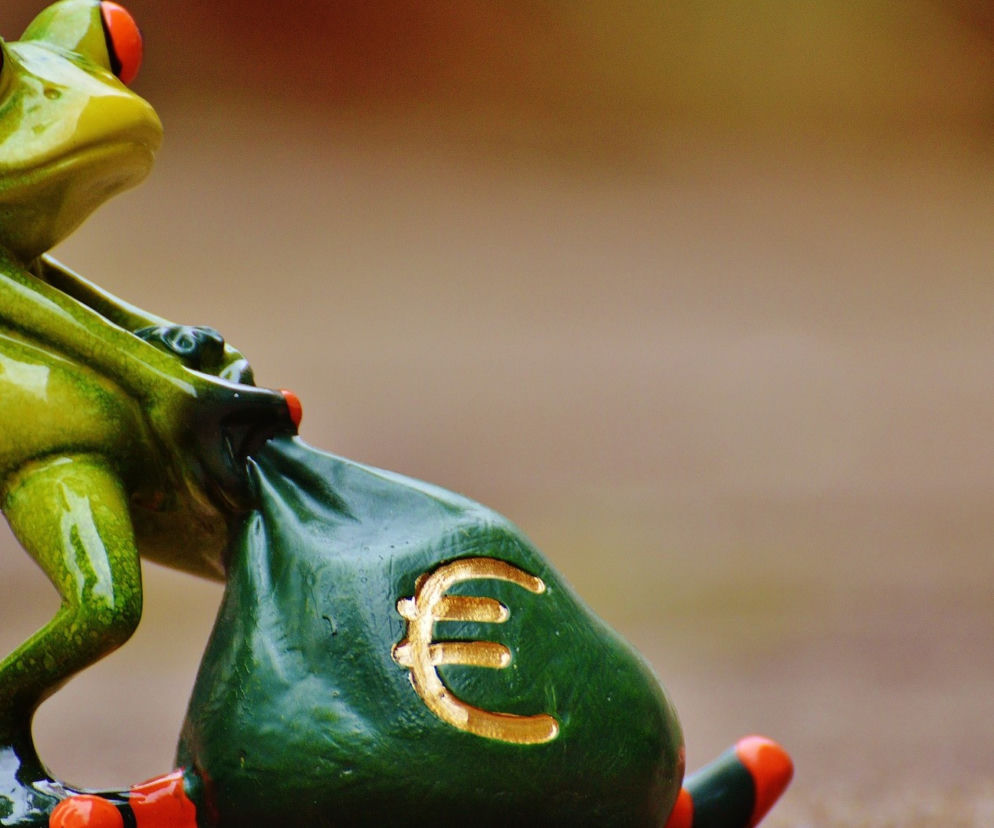 worek z euro pieniądze