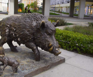 To najbardziej kolorowe miasteczko Dolnego Śląska. Turyści są zachwyceni