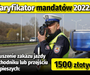 Taryfikator mandatów 2022 
