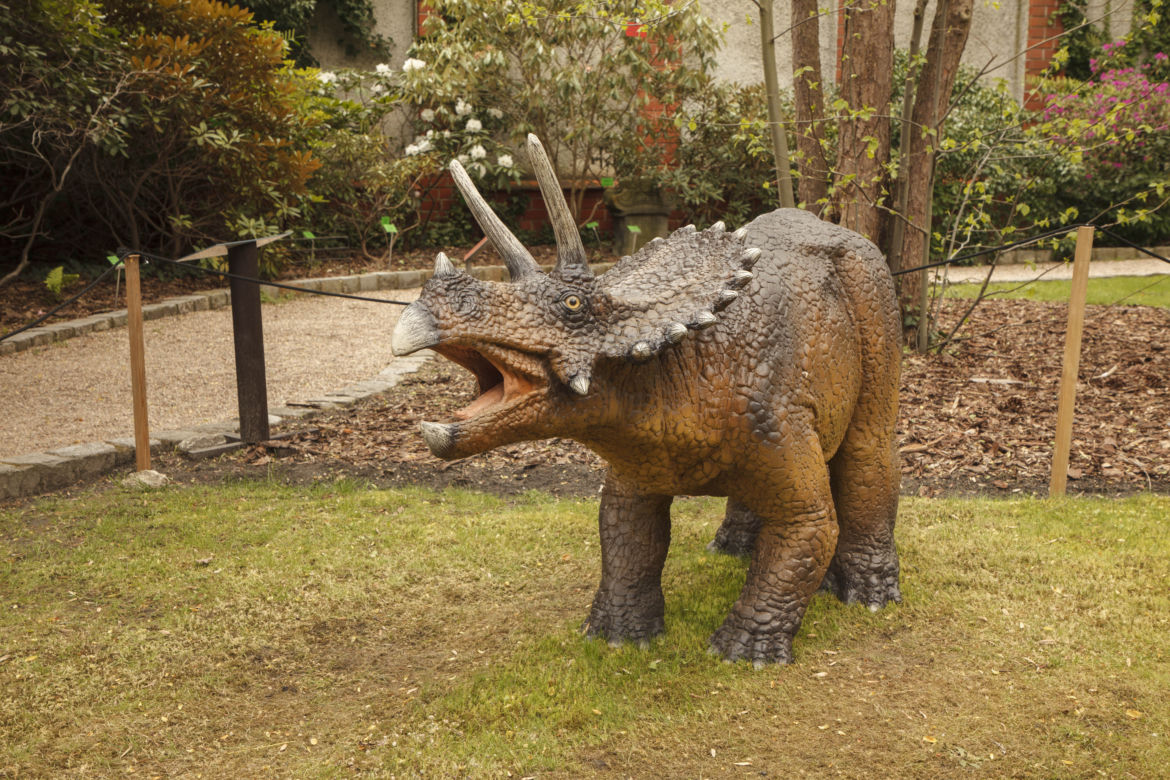 Dinozaury opanowały wrocławski ogród botaniczny