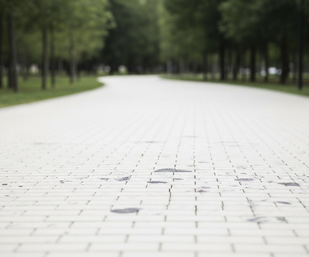 Szeroka, wyłożona jasną kostką brukową aleja, o delikatnie krętym przebiegu, rozciąga się w głąb kadru, znikając w oddali. Kostka jest przeważnie biała, z kilkoma ciemnymi plamami i smugami, co sugeruje zabrudzenia. Po obu stronach alei rozciągają się zielone, trawiaste obszary, za którymi widać szereg drzew o ciemnych pniach i zielonych liściach, tworzących gęsty szpaler. Tło jest rozmyte, zdominowane przez zieleń liści i ciemne pnie drzew, które tworzą efekt głębi.