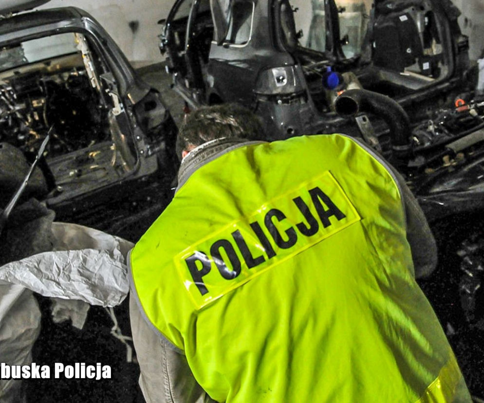 Oficjalnie był warsztatem, ale okazał się dziuplą. Policja ujawniła kradzione auta o łącznej wartości 350 tys. złotych