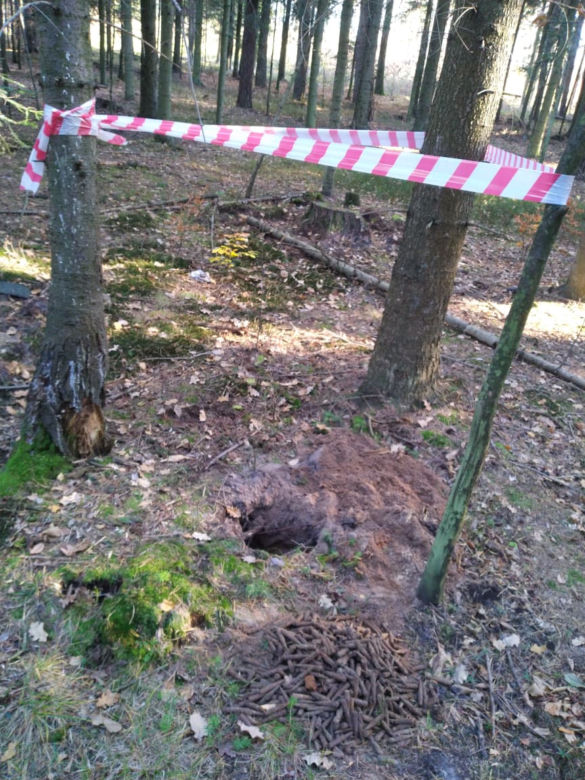 600 sztuk amunicji w starachowickich lasach