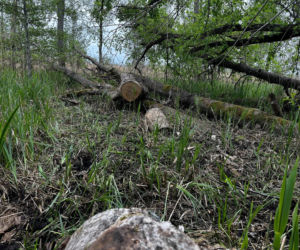 13-letni Mikołaj zginął nad jeziorem. xxx Śledczy mówią o brutalnym pobiciu
