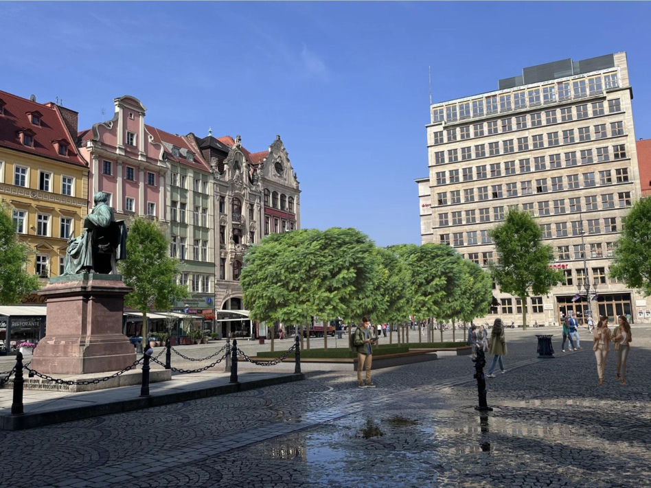 121 nowych drzew na rynku we Wrocławiu