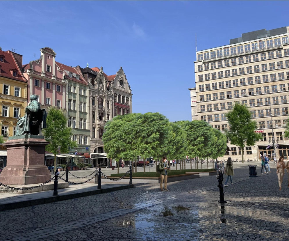 Wizualizacja planowanego zazielenienia Rynku we Wrocławiu z nowymi drzewami i zielenią niską na brukowanym placu. W tle historyczne kamienice i nowoczesny budynek. O inwestycjach w zieleń w miastach możesz przeczytać na Architektura Murator Plus.