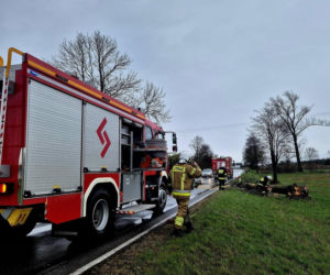 Interwencje Strażaków przy likwidacji szkód spowodowanych przez gwałtowny wiatr i burze
