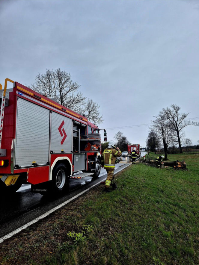 Interwencje Strażaków przy likwidacji szkód spowodowanych przez gwałtowny wiatr i burze