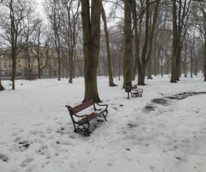 Gdzie mieścił się kiedyś letni teatr? Siedlecki park Aleksandria sto lat temu i w pierwszym tygodniu stycznia 2021: