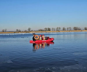 Makabryczny widok nad jeziorem! 50 martwych łabędzi. Wiadomo, co je zabiło