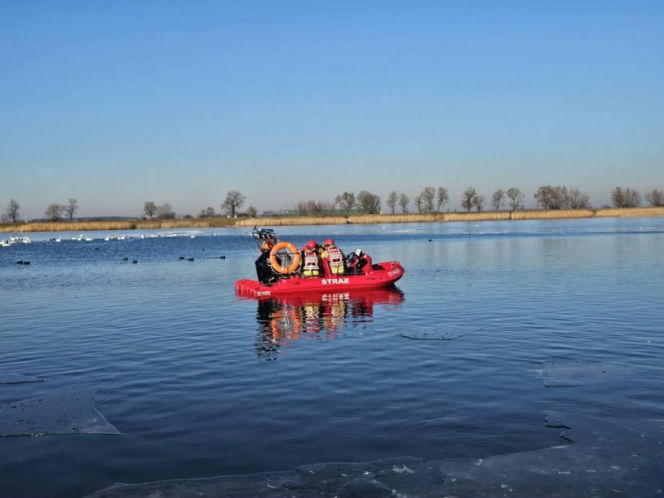 Makabryczny widok nad jeziorem! 50 martwych łabędzi. Wiadomo, co je zabiło