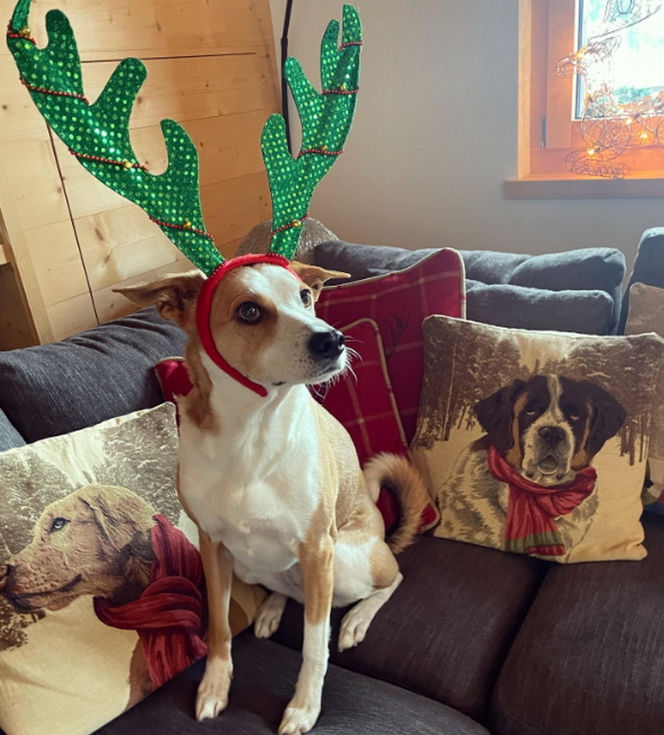 Tak mieszkają Aleksandra Kwaśniewska i Kuba Badach