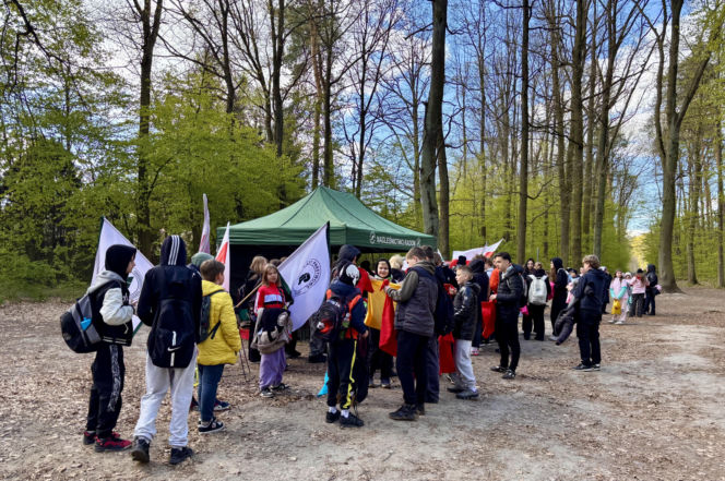 Akcja Sadzenia Lasu z Nadleśnictwem Radom