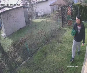 Gliwice: Okradł altankę działkową. Został nagrany jak ucieka z czteropakiem piwa. Rozpoznajesz go? [ZDJĘCIA]