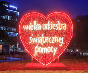 WOŚP 2026 wspiera gastroenterologię dziecięcą. Zobacz, co wystawili lekarze, naukowcy i sportowcy