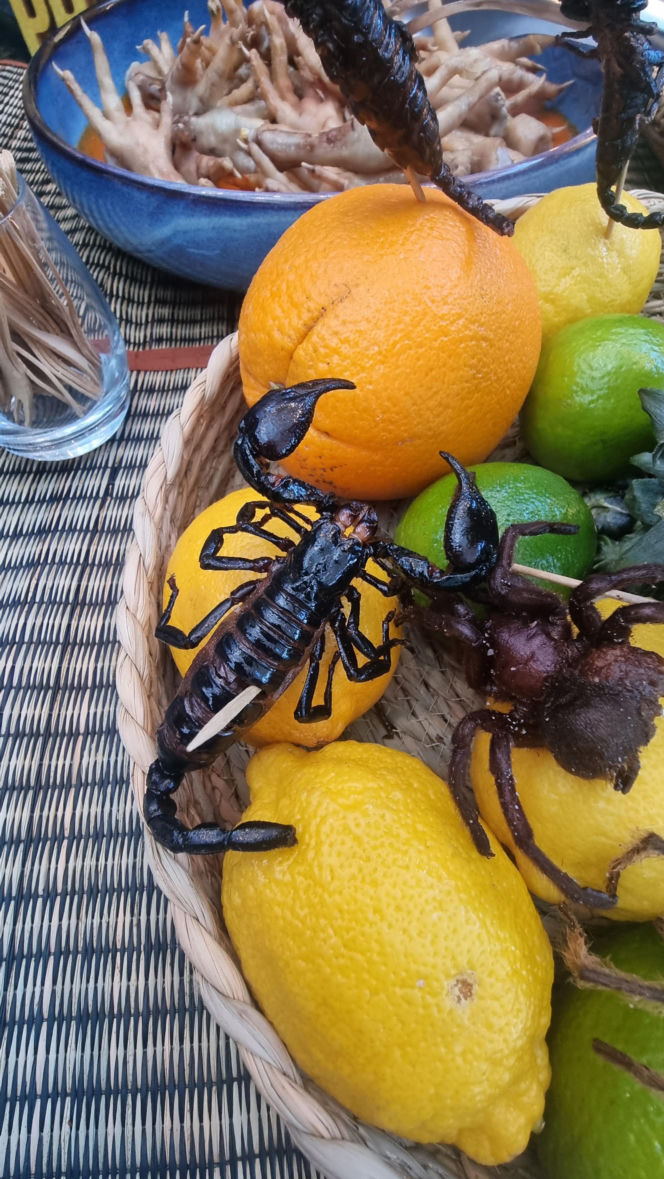 "Królowe przetrwania" reagują na pierwszy odcinek. Śmiech, łzy i marsowe miny