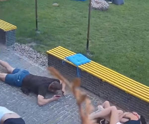 Mocne nagranie z Ukrainy. Ludzie siedzieli w kawiarni, gdy spadły pociski