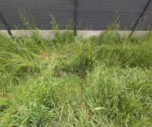 Rzeszów: Tajemnicza śmierć przy ul. Herbowej. Zwłoki mężczyzny w rowie! Co tam się stało?!