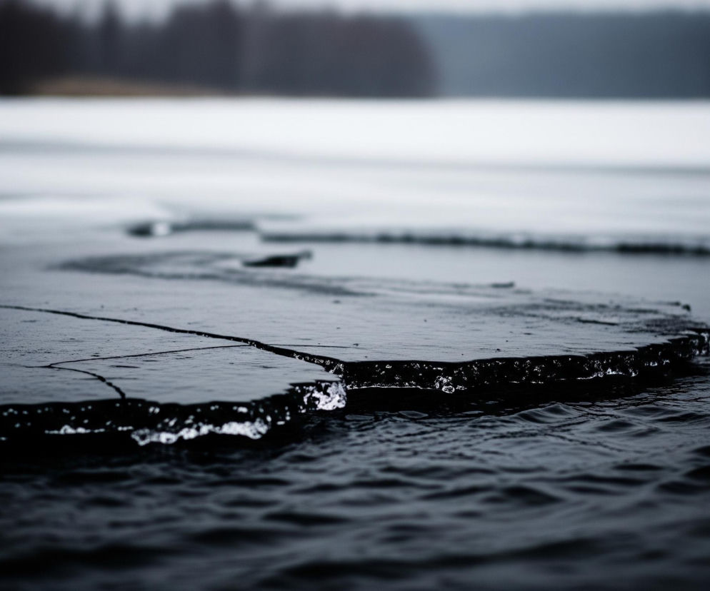 Na pierwszym planie, z lewej strony, widoczna jest duża, spękana tafla ciemnego lodu, częściowo zanurzona w wodzie. Jej krawędź, zwłaszcza ta najbliższa obiektywowi, jest jasna, poszarpana i miejscami pokryta drobnymi, błyszczącymi kryształkami. Pod taflą lodu oraz w prawym dolnym rogu obrazu rozciąga się ciemna, falująca woda, tworząca drobne zmarszczki na powierzchni. W tle rozciąga się zamarznięte, pokryte śniegiem jezioro lub staw, a za nim niewyraźny, ciemny pas lasu pod szarym, zachmurzonym niebem.