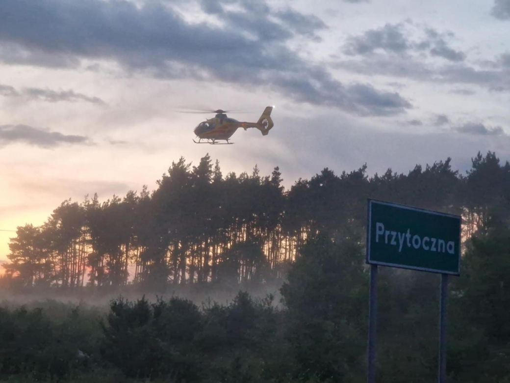 Przytoczna. Śmiertelny wypadek na DK 24. 49-latek nie żyje [ZDJĘCIA].
