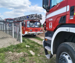 Ogromne straty po pożarze wielkiego kurnika w Lipinkach. W środku trzymano blisko 2 tysiące bażantów