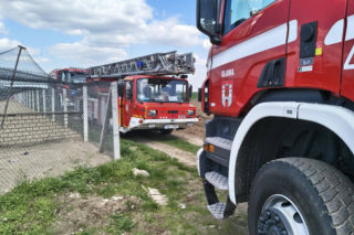 Ogromne straty po pożarze wielkiego kurnika w Lipinkach. W środku trzymano blisko 2 tysiące bażantów