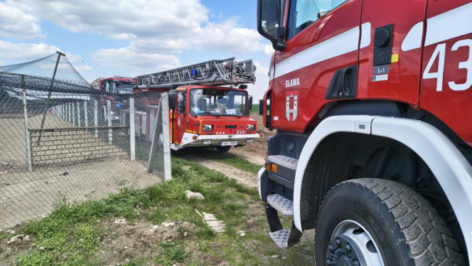 Ogromne straty po pożarze wielkiego kurnika w Lipinkach. W środku trzymano blisko 2 tysiące bażantów