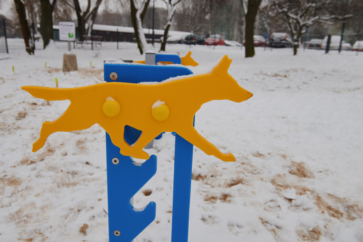 W parku Podolskim w Łodzi powstał nowy psi park