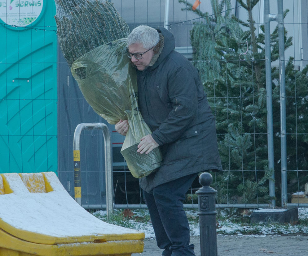 Europoseł PiS Ryszard Czarnecki kupił choinkę w Warszawie