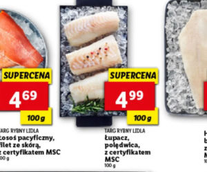 Mega promocje w Lidlu
