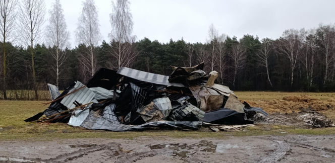 Krowa Diablica zobaczyła ogień i padła na zawał. Jarosław nie może się pozbierać. "Miałem ochotę płakać"